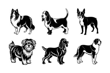 Köpek cinsi vektör silueti ayarlandı