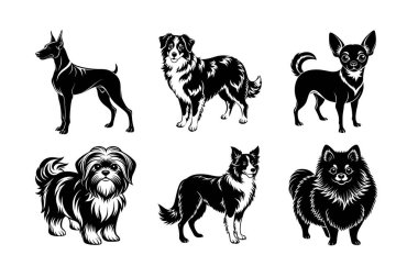 Köpek cinsi vektör silueti ayarlandı