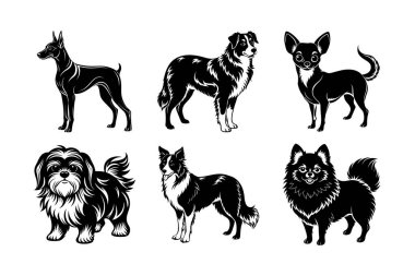Köpek cinsi vektör silueti ayarlandı