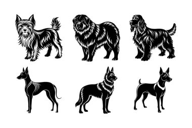 Altı köpek cinsinden vektör siluet simgesi