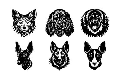 Köpek baş vektör siluetinin cinsi 6 simge seti