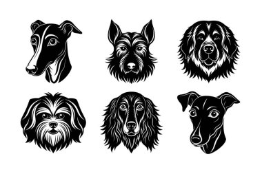 Köpek baş vektör siluetinin cinsi 6 simge seti