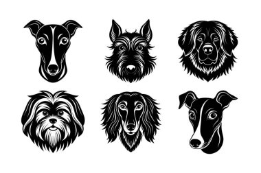 Köpek baş vektör siluetinin cinsi 6 simge seti