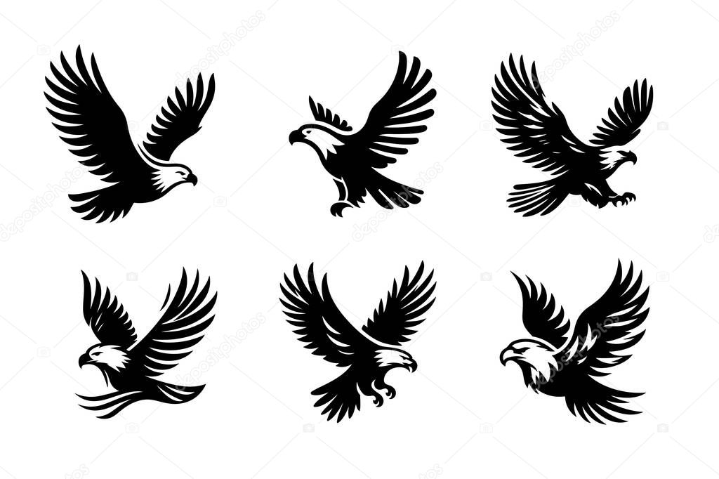 Eagle vector silhouette art illustration bundle set