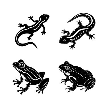 Amphibian domestic animal vector silhouette bundle clipart