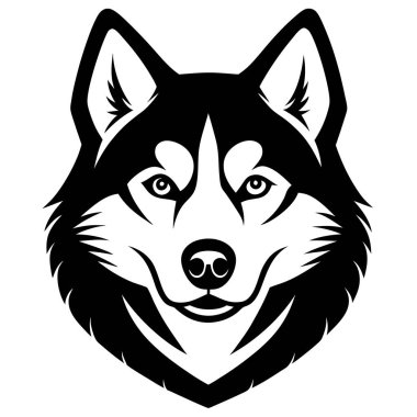 Sibirya kurt köpeği baş vektör silueti sanat çizimi