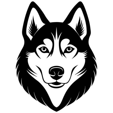 Sibirya kurt köpeği baş vektör silueti sanat çizimi