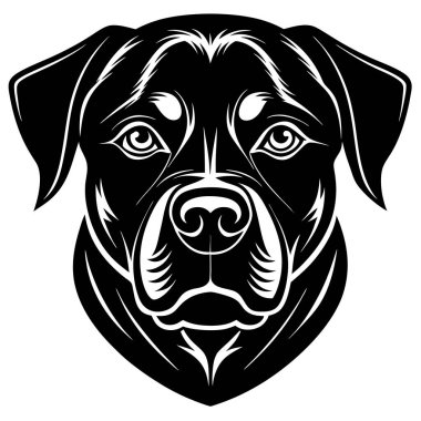 Rottweiler köpek baş vektör silueti sanat çizimi