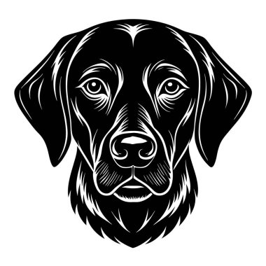 Labrador retriever dog head vector silhouette art illustration clipart