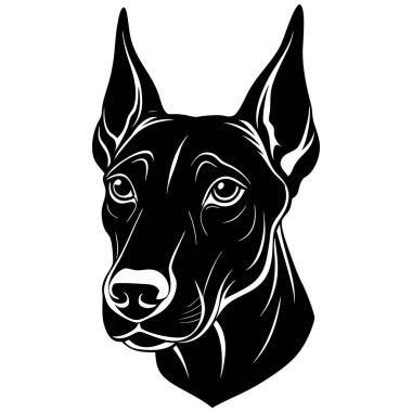 Doberman köpek kafası vektör silueti sanat illüstrasyonunu buldu