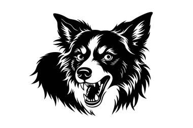 Vorder collie dog vektör silueti sanat illüstrasyonu