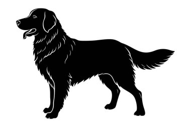 Golden retriever dog vector silhouette art illustration clipart