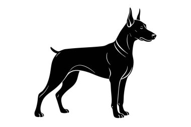 Doberman pinscher dog vector silhouette art illustration clipart