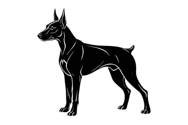 Doberman, köpek vektörü silueti sanat illüstrasyonunu buldu