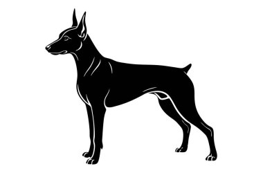 Doberman, köpek vektörü silueti sanat illüstrasyonunu buldu