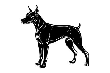 Doberman pinscher dog vector silhouette art illustration clipart