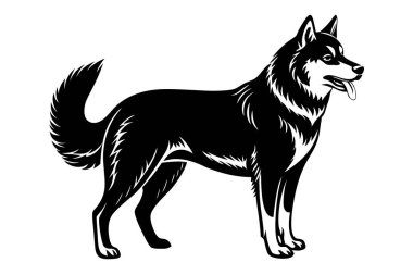 Sibirya Husky köpek vektör silueti sanat çizimi