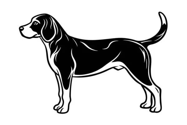 Beagle köpek vektör silueti sanat çizimi