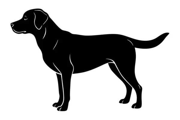 Labrador Retriever köpek vektör silueti sanat illüstrasyonu