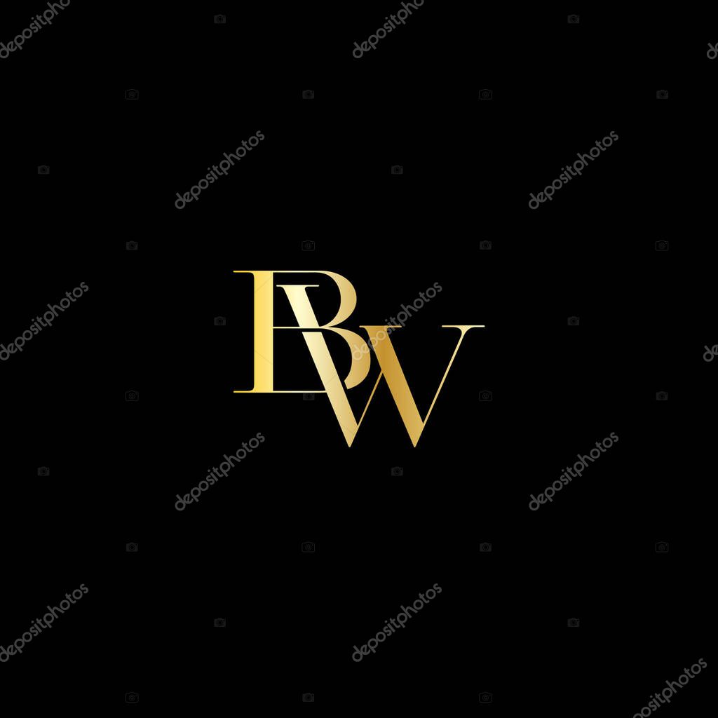 Vector BW luxury logo