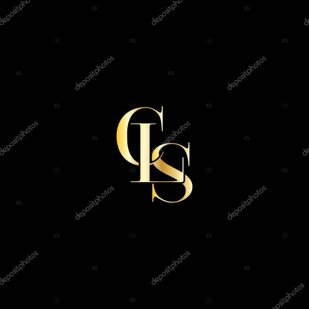 Vector CLS luxury logo