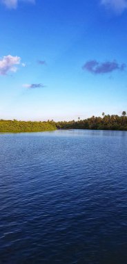Görüntü, sakin bir nehrin berrak ve bulutsuz bir gökyüzünün altındaki derin mavi okyanusa doğru huzur içinde aktığını gösteriyor..