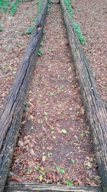 Görüntü yere yerleştirilmiş iki kütüğü gösteriyor. Jimnastik ya da dinlenme için kullanılabilir..