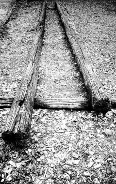 Siyah ve beyaz resim yere yerleştirilmiş iki kütük gösteriyor. Jimnastik ya da dinlenme için kullanılabilir..