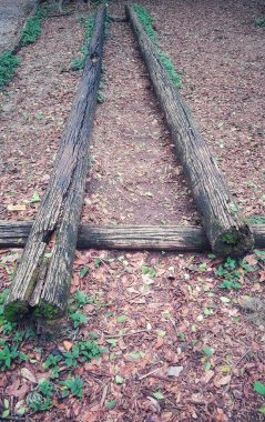 Görüntü yere yerleştirilmiş iki kütüğü gösteriyor. Jimnastik ya da dinlenme için kullanılabilir..