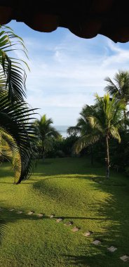 Çimenli bir alandan okyanus manzarası. Fotoğraf, okyanusa açılan tropik bir manzarayı yakalar. Ön planda, canlı yeşil bir çimen.