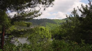 Doğal Lakeside Manzarası. Yüksek kalite 4k görüntü