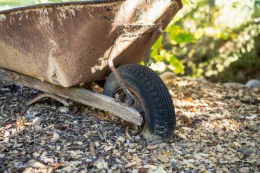 Arka bahçesinde eski püskü bir el arabası ve çamurda ön tekerleği var..