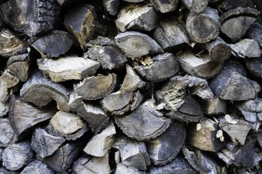 Yığılmış meşe yakacak odununa yakın çekim