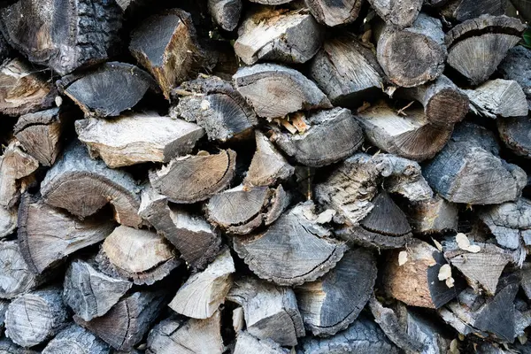 stock image Closeup of stacked oak firewood