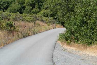 Kuzey Kaliforniya 'da kaldırımlı kırsal yolda küçük bir viraj.