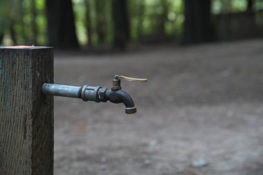 Kamp alanında su musluğu. Orman arkaplanı.