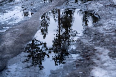Topraklanmamış yolda eriyen karlı su birikintisi ağacı yansıması.  