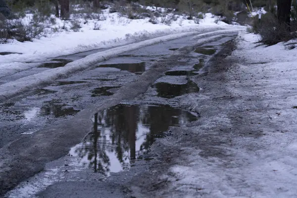 Yağmurdan ve ormanda eriyen kardan gelen nemli dağ yolu, günbatımından hemen önce. Sürülmemiş.  