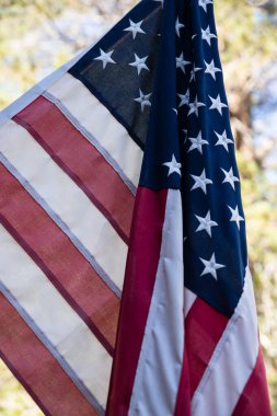 Orman geçmişi olan Amerikan bayrağı. Dikey.