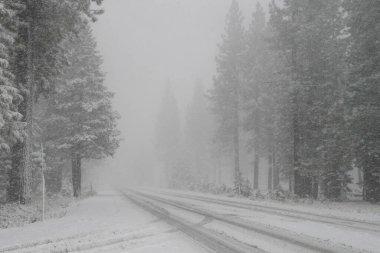 Tahoe Gölü yakınlarındaki Sierra Nevada dağlarında karlı bir yol. Kış sürüşü, yoğun kar.  