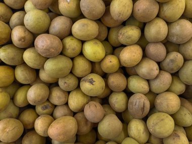 Topraksı Ton Sapodilla Meyveleri Kırsal Yakın Çekim Görüntüsü