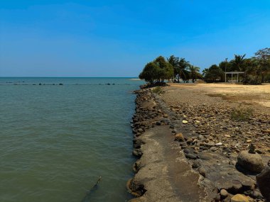 Sahil Ağaçlarıyla Sakin Sahil Sahnesi, Altın Kumlar ve Açık Gökyüzünün Altında Sakin Deniz
