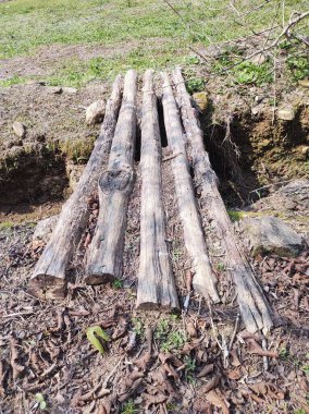 Eski kütüklerle yapılmış küçük bir köprü, derenin üzerinde bir geçit görevi görüyor.