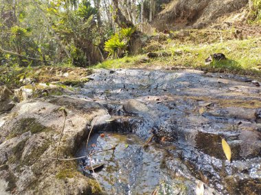 Küçük bir akarsuyun suları, yol boyunca taşların üzerinden geçiyor. Doğanın ortasında, ağaçların arasında ve bir sürü yeşilliğin arasında.