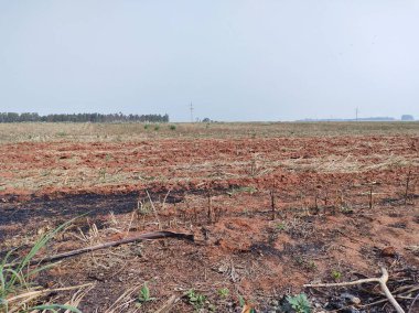 Kırsal bir alanda, yağmur eksikliği nedeniyle ekilmeyen kuru arazili bir ekin tarlası.