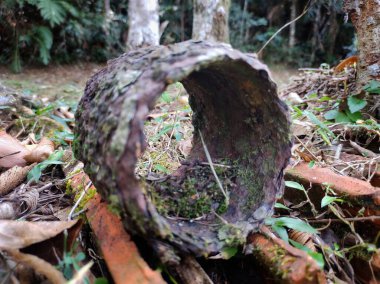 Metal bir boru parçası ya da benzeri bir şey. Gerçek şehir arkeolojisinin bir parçası olan zamanın etkisiyle onlarca yıldır paslanmış ve harabe halinde. 