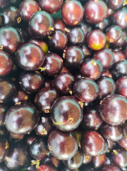 Arkaplan veya doku olarak kullanılmak üzere olgun jabuticabas kümesi