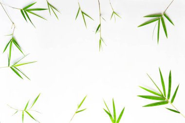Görüntü, kenarlarında yeşil bambu yaprakları olan beyaz bir arka plan, bir çerçeve oluşturuyor. Bambu yaprakları arka plan kavramı.