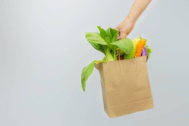 Kadın eli, beyaz arka planda çeşitli sebzelerle dolu bir kese kağıdı tutuyor. Süpermarketten sağlıklı ekolojik gıda teslimatı ve alımı.