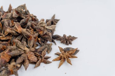Beyaz arka planda yıldız anasonu ya da Illicium verum izole edilmiş. Bitki ve baharat konsepti. geleneksel bitkiler